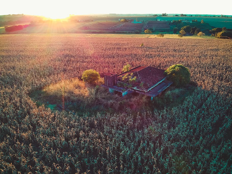 ourinhos, brazil, abandonada, abandoned, serjosoza, saopaulo, HD wallpaper