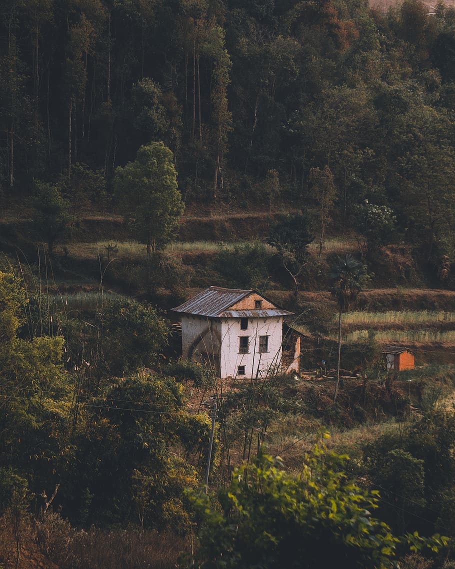 nepal, lankuri bhanjyang, built structure, architecture, tree HD wallpaper
