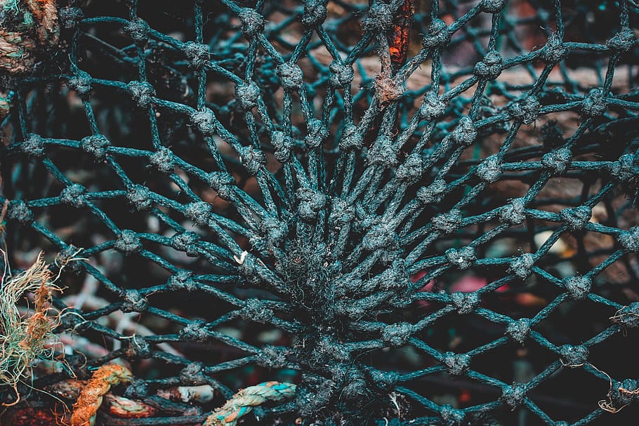 blue braided rope, close-up, no people, focus on foreground, day HD wallpaper