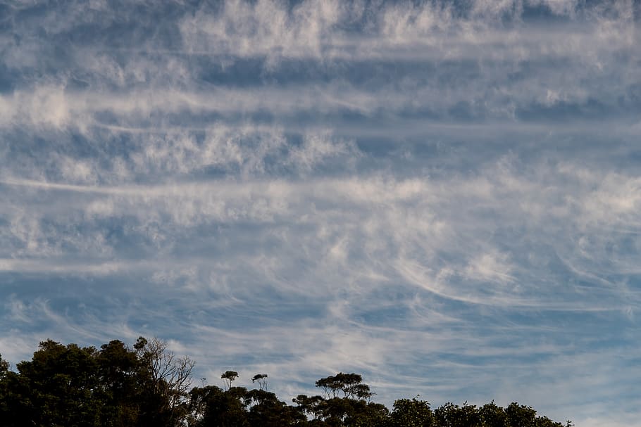 clouds, white, blue, fluffy, delicate, pattern, sky, weather HD wallpaper