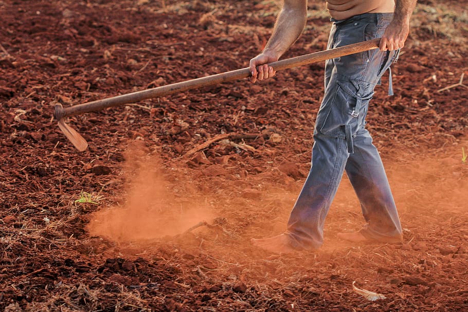 Man Holding Hoe, action, barefoot, cropland, daylight, denim jeans HD wallpaper