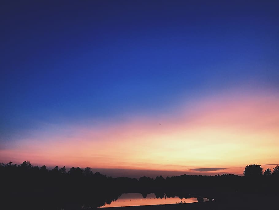 Silhouettes of Trees During Dawn, afterglow, backlit, dark, dusk HD wallpaper