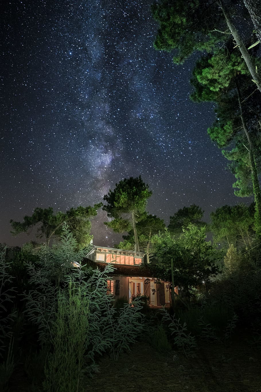 brown wooden house surrounding trees, night, building, star, blue HD wallpaper