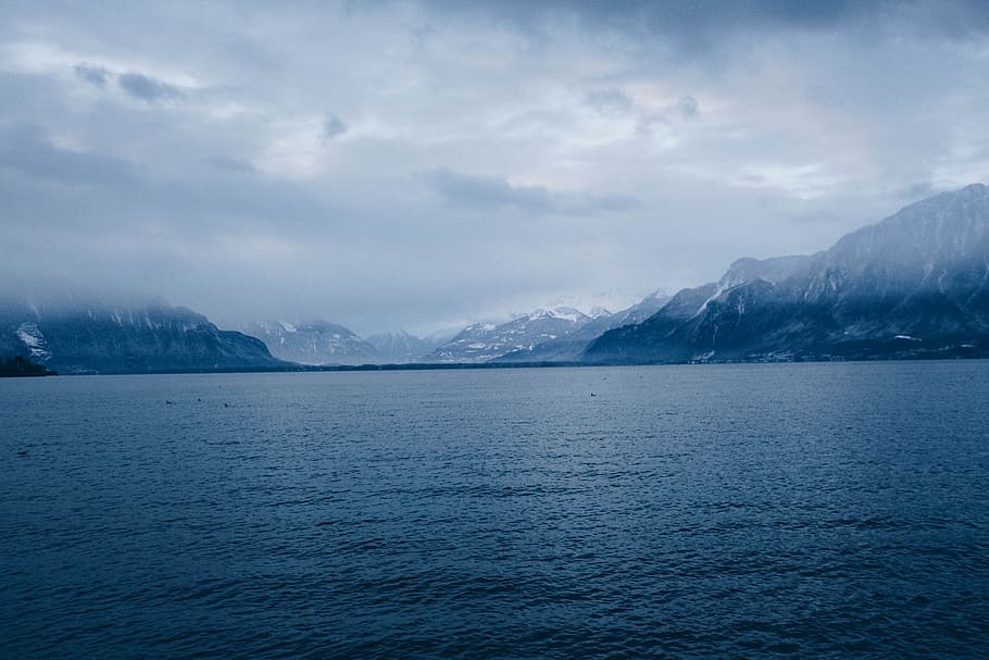 lake, forest, snow, water, scenics - nature, beauty in nature HD wallpaper