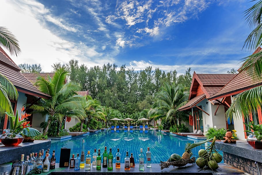 Swimming Pool Beside Houses and Trees, alcohol bottles, architecture HD wallpaper