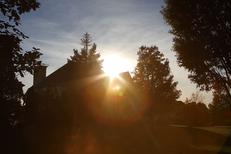 house, sun, tree, sky, sunlight, plant, lens flare, sunbeam HD wallpaper