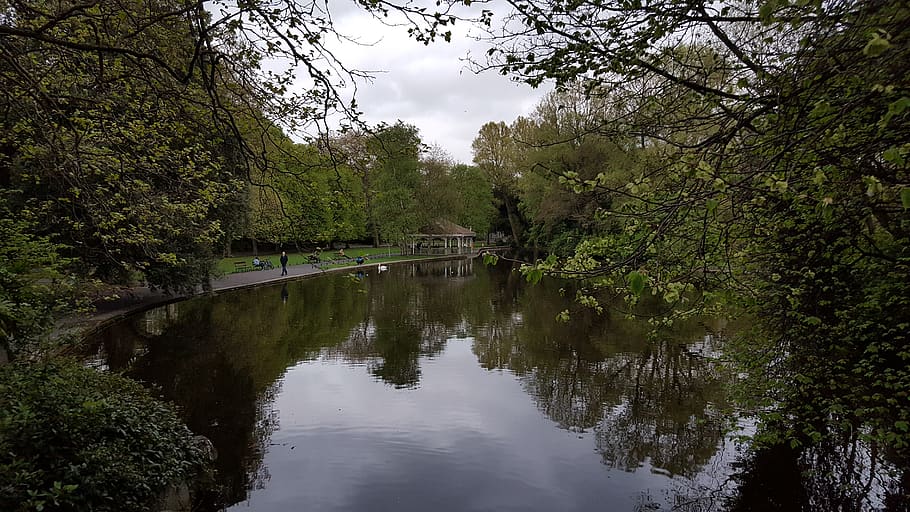dublin, ireland, park, tree, water, plant, reflection, tranquility HD wallpaper
