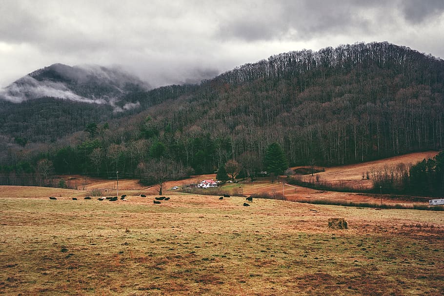 nature, landscape, mountain, clouds, sky, grass, field, travel HD wallpaper