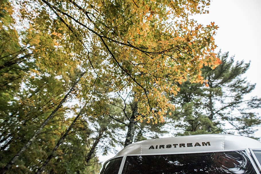 airstream, airstream travel trailer, fall, trees, reflection