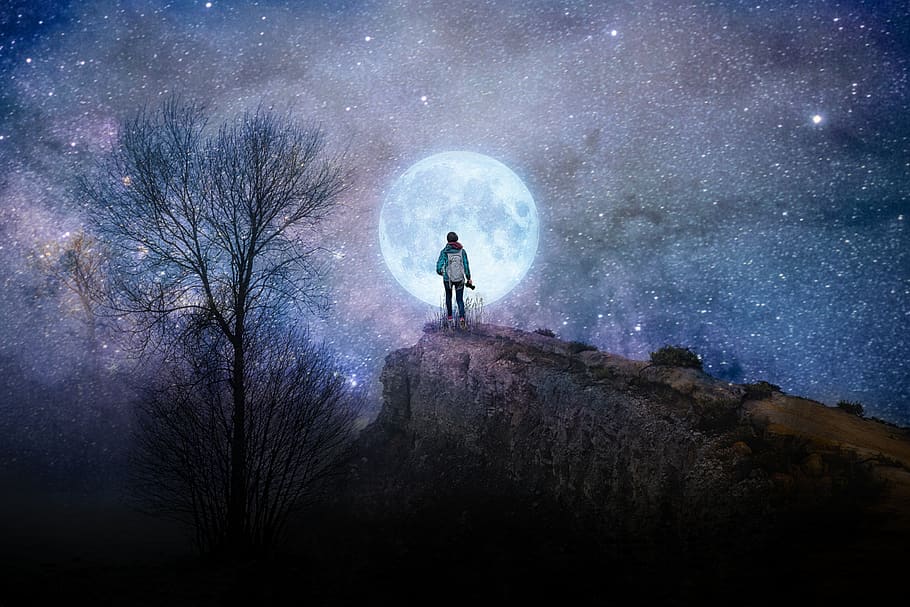 sky, night, dark, moonlight, hill, tree, travel, milkyway, animation HD wallpaper