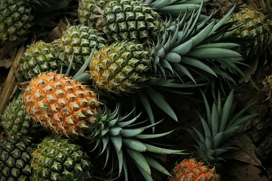 pineapple, fruit, food, food and drink, healthy eating, freshness HD wallpaper
