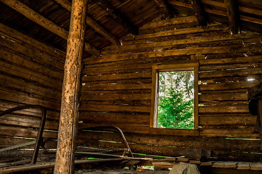 cabin, abandoned, woods, decay, haunted, forest, wood - material, HD wallpaper