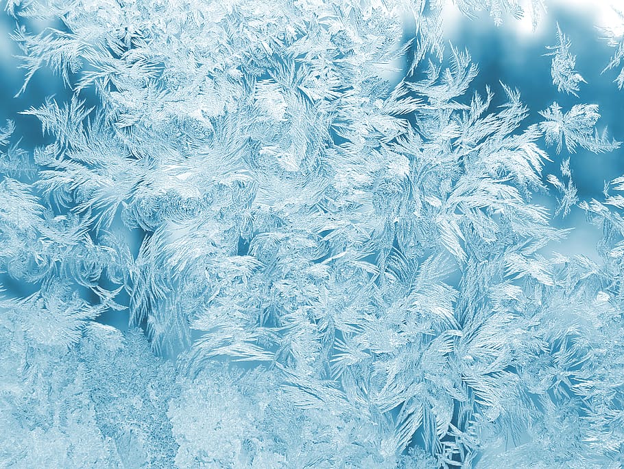 White Feathers Illustration, bright, christmas, cold, insubstantial HD wallpaper