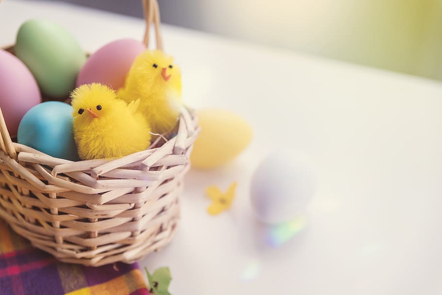 Happy Easter! Toy chicken and eggs in the basket, easter egg HD wallpaper