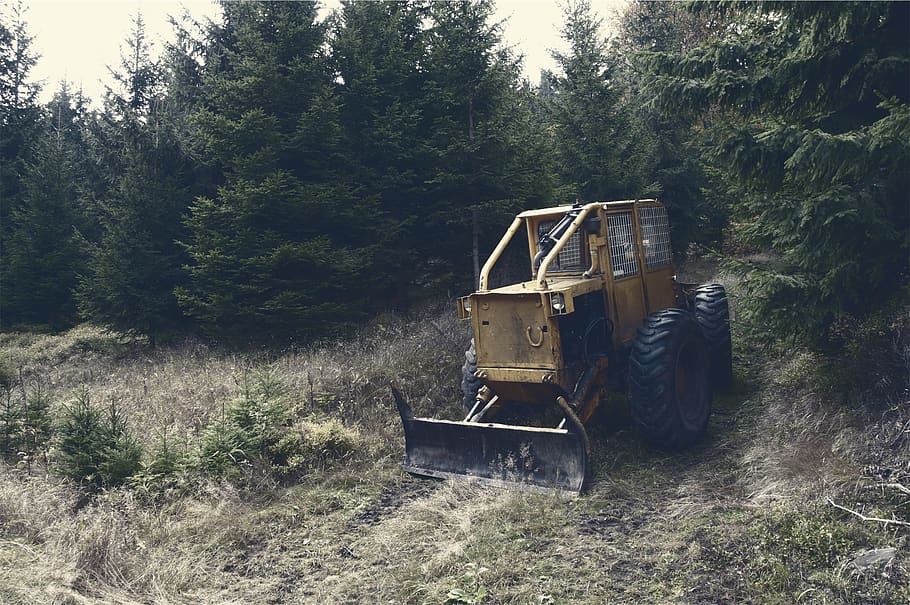 backhoe, tractor, construction, rural, trees, grass, plant HD wallpaper