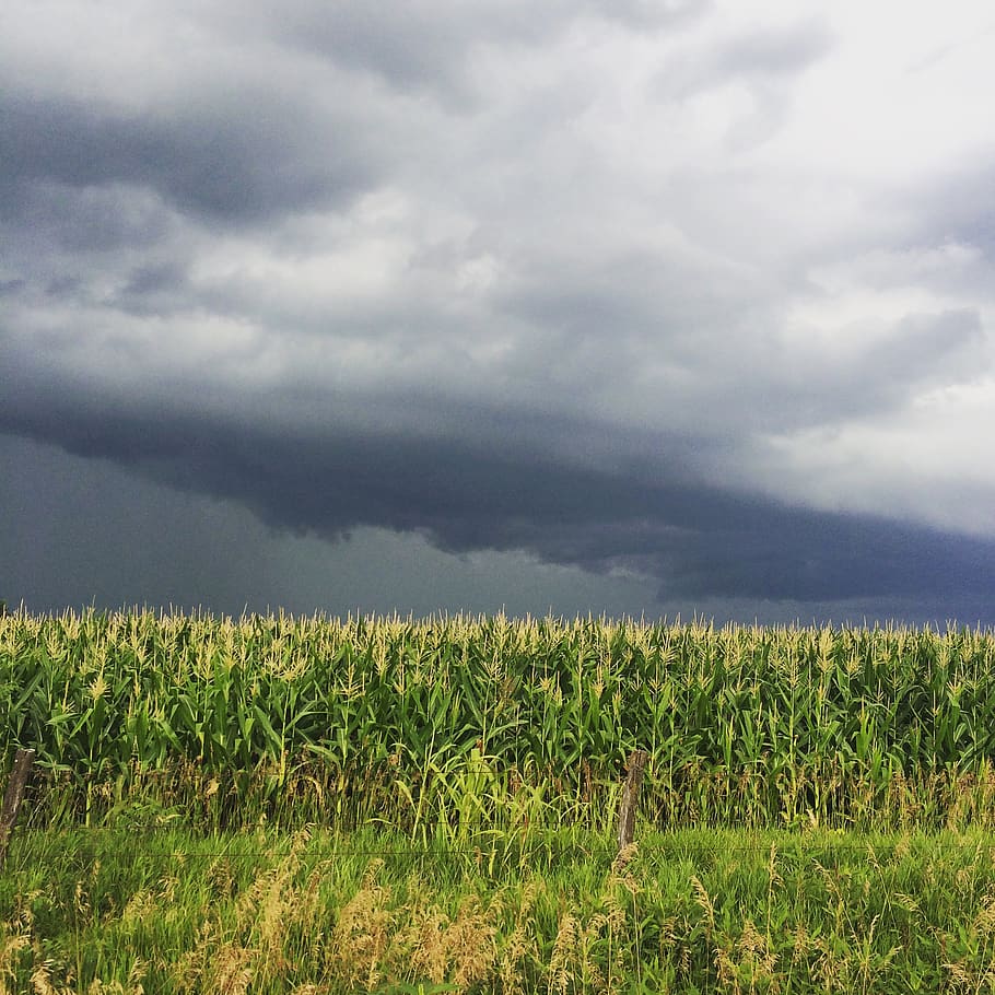 united states, bates county, sky, cloud, storm, field, farm HD wallpaper