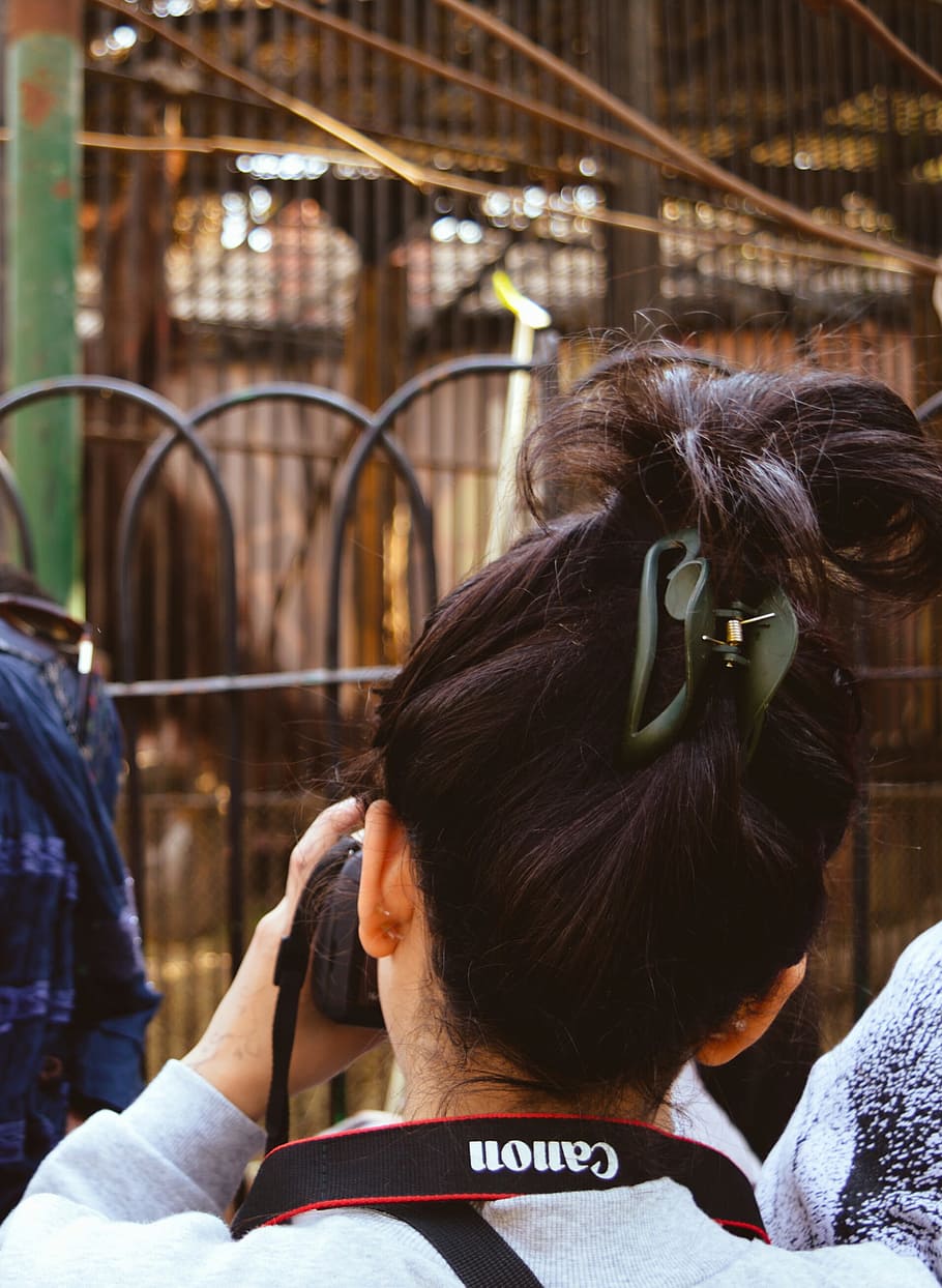 Photography of a Woman Taking Photos, blur, camera, canon, capture HD wallpaper