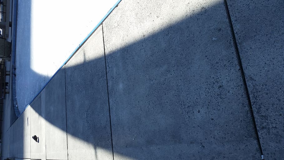 canada, toronto, nathan phillips square, concrete, shadow, pigeon, HD wallpaper