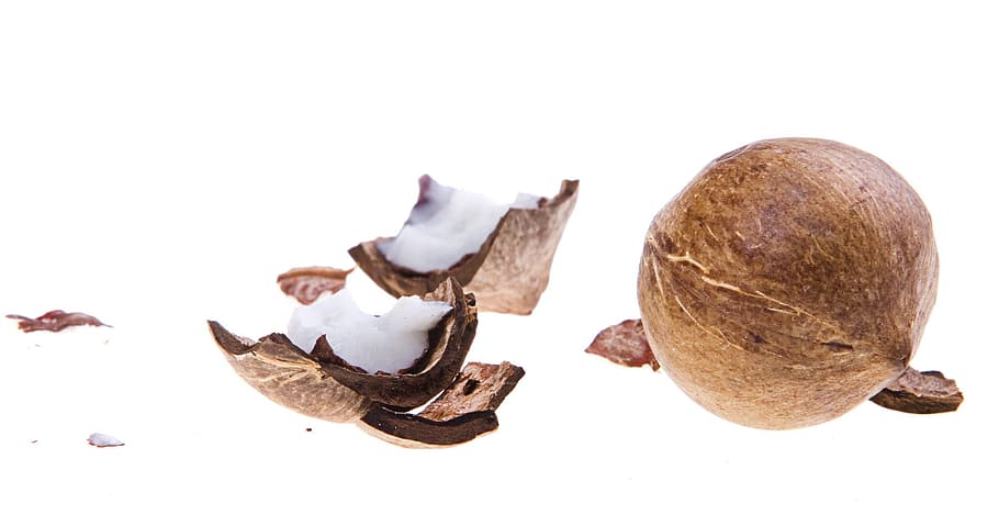 coconut, coconuts, cocos, cocoz, white, fruit, background, wood HD wallpaper
