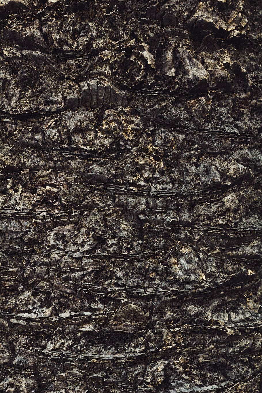 brown rock, soil, tree texture, textured surface, rough, wooden texture HD wallpaper