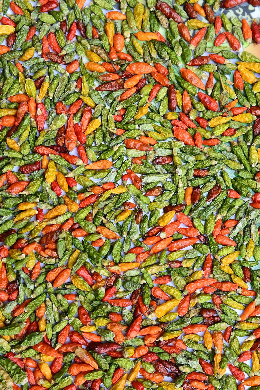 color, background, chili, nice, bright, paint, oranges, red HD wallpaper