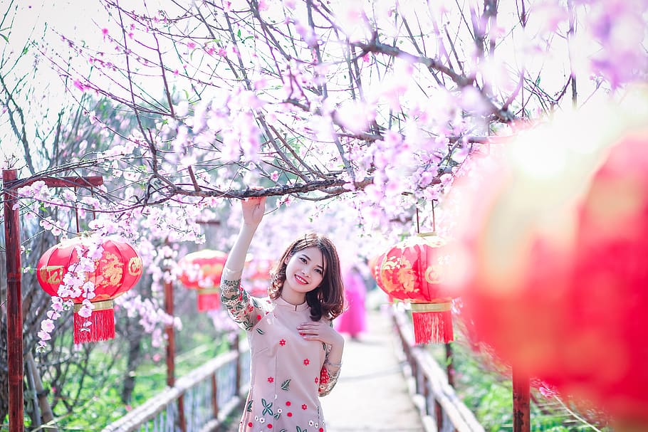 flower, nature, beautiful, tree, season, park, people, outdoors HD wallpaper