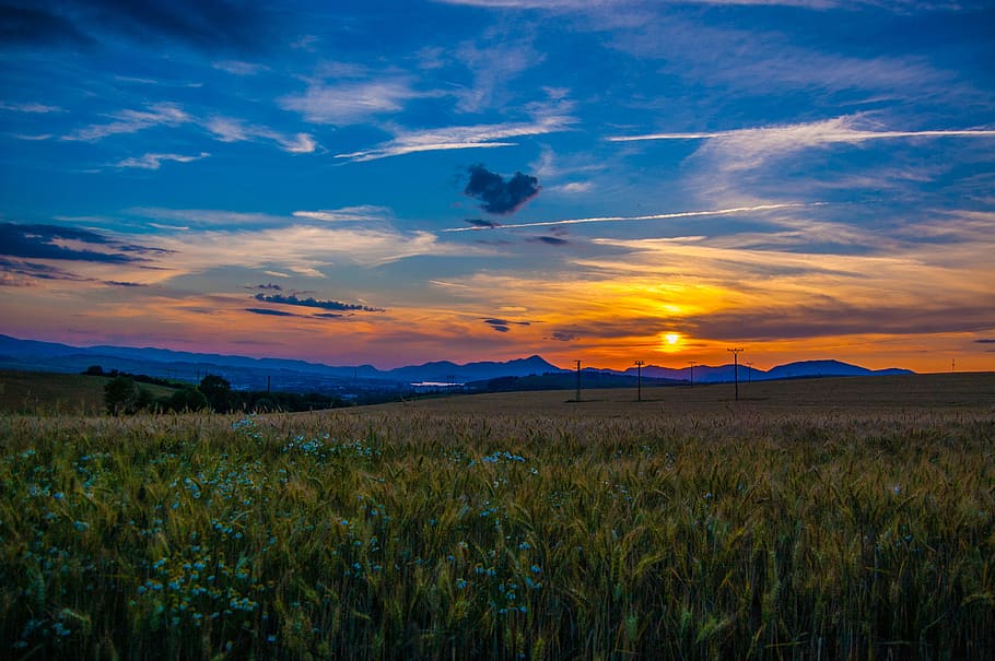 west, sun, evening, landscape, twilight, orange, field, sweetheart HD wallpaper