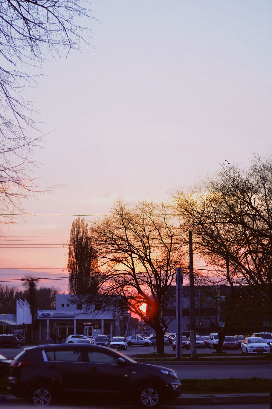 sun, sunset, sunshine, sunlight, vsco, nature, trees, city HD wallpaper