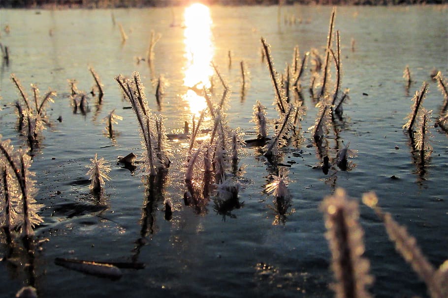 ice, water, more, sunlight, reflection, cold, frozen, landscape HD wallpaper