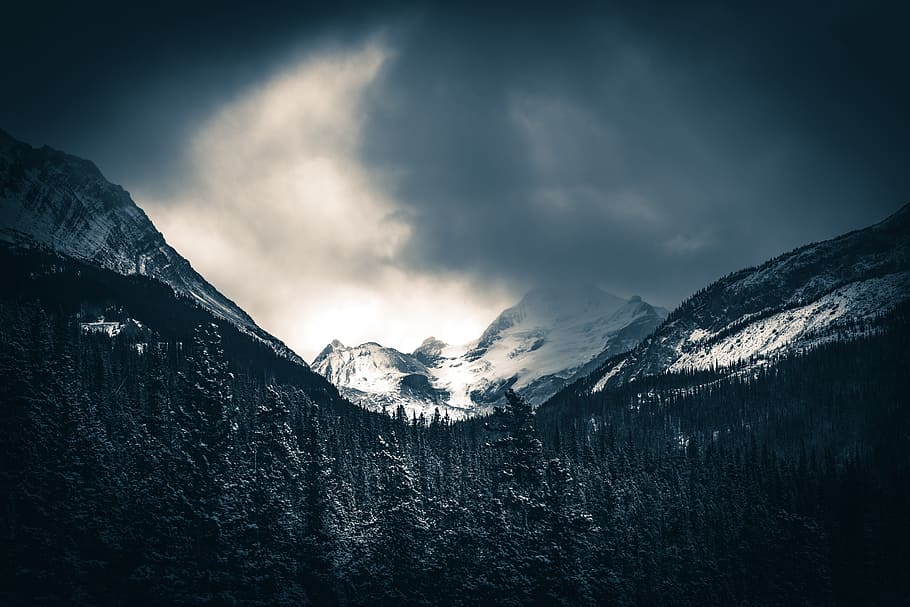 mountain coated with snow, sky, tree, forest, woodland, black and white HD wallpaper