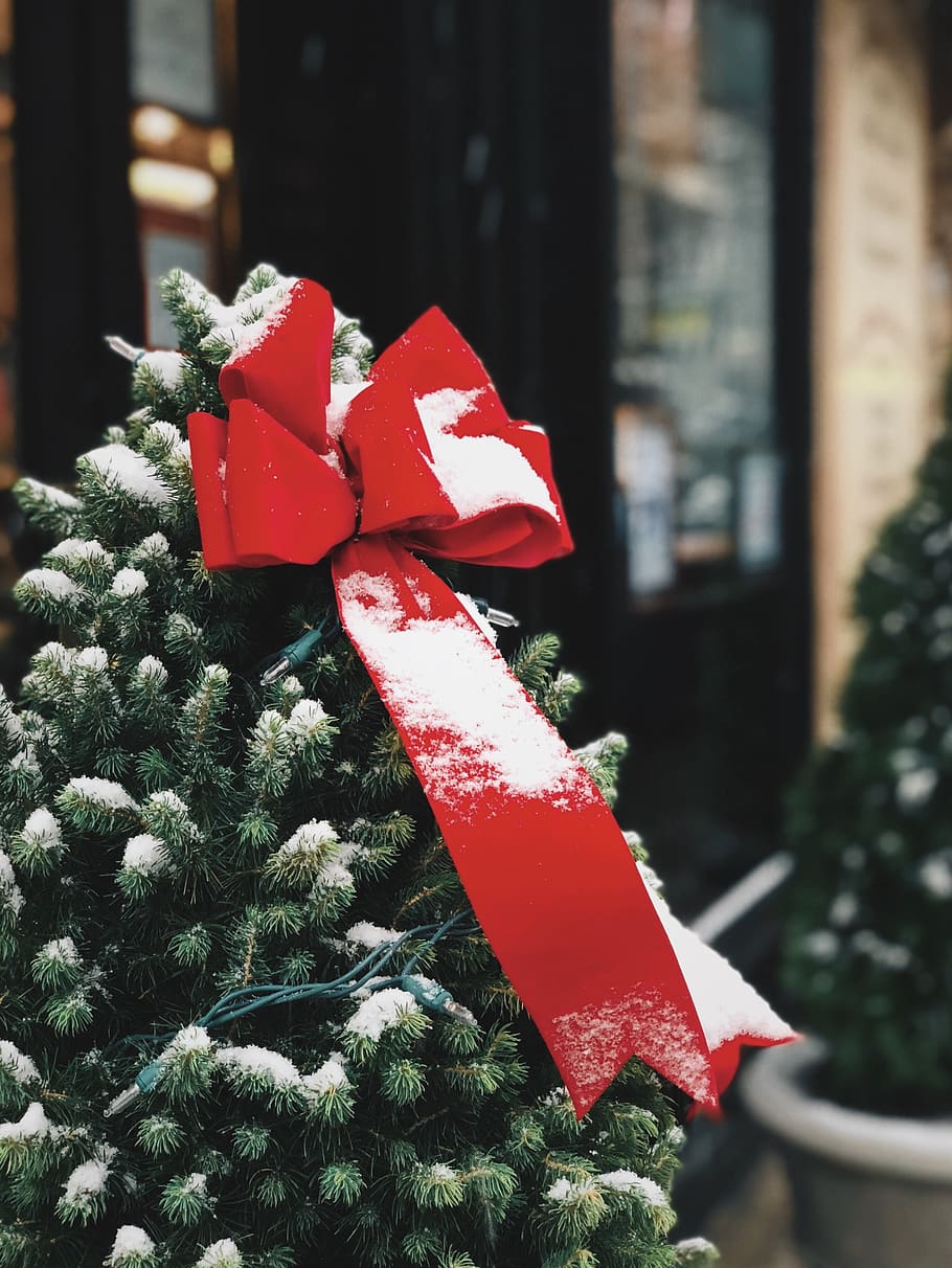 christmas, holidays, red, celebration, close-up, focus on foreground HD wallpaper