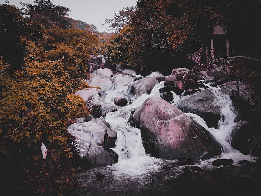 Photo of a Waterfalls Surrounded by Trees, boulders, cascade HD wallpaper