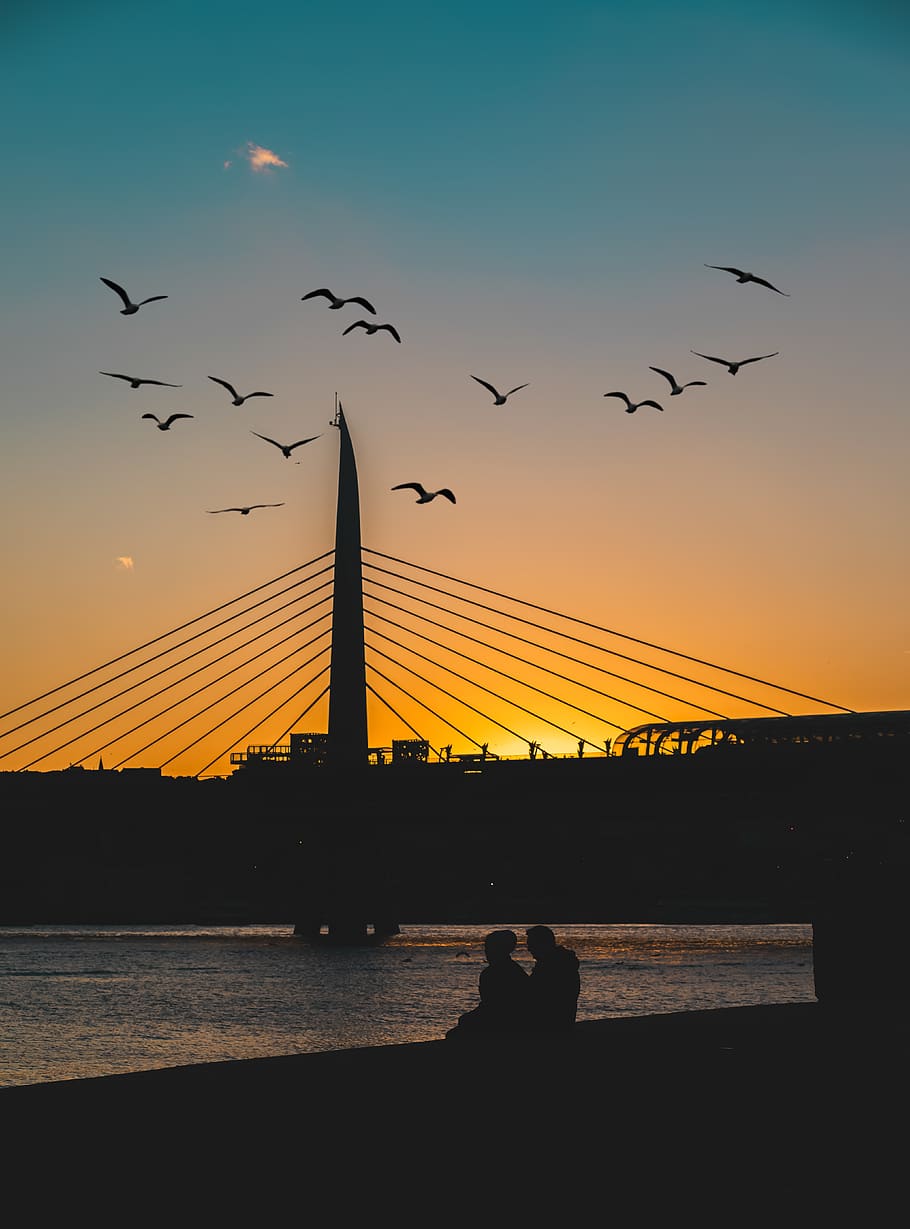 Silhouette of Bridge With Two People on Side of Body of Water HD wallpaper