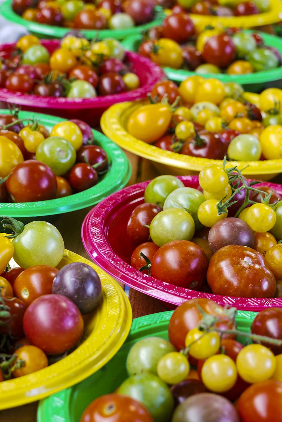 assorted-color tomato lot, bowl, produce, food, orange, fruit HD wallpaper