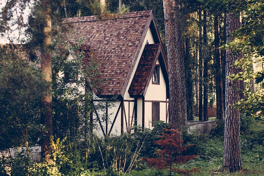 summer, house, forest, architecture, built structure, tree HD wallpaper