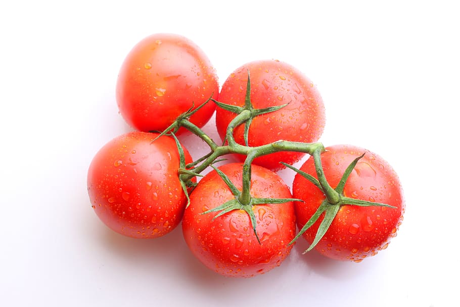 tomato, tomatoes, red, sprig, fresh, foliage, vegetables, restaurant HD wallpaper