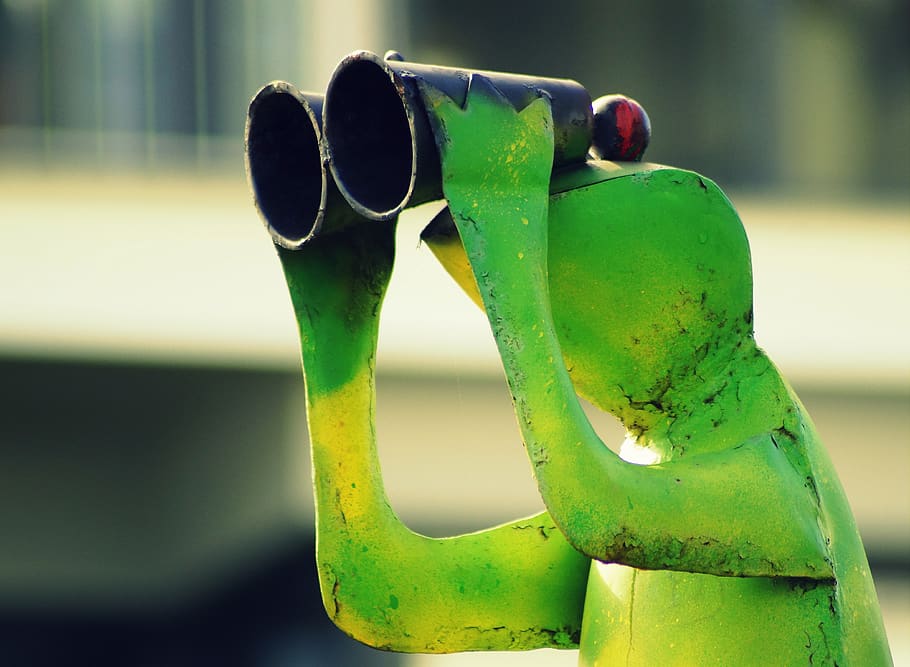 frog, binoculars, green, distant, viewpoint, telescope, watch