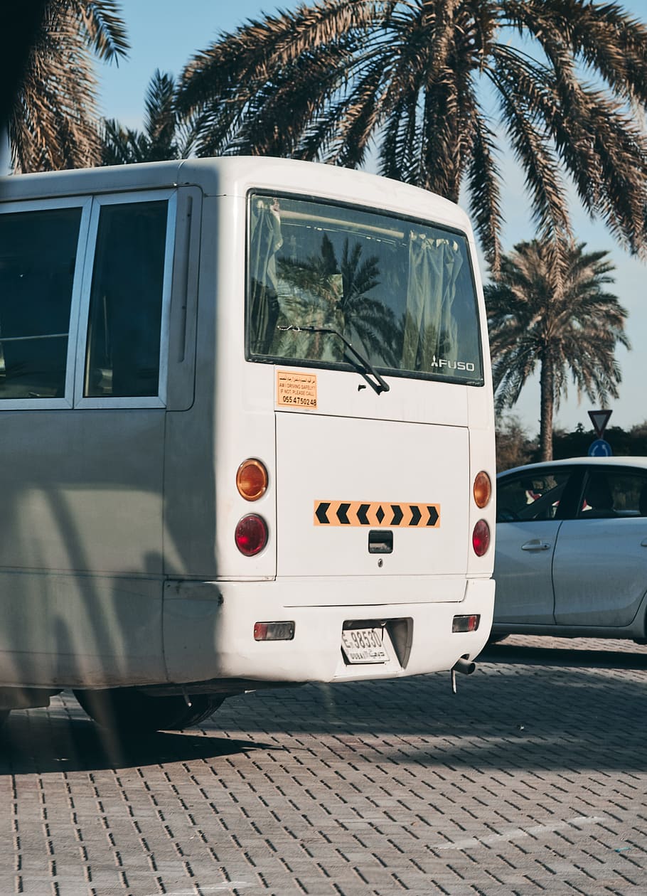white bus parked beside white sedan during daytime, automobile, HD wallpaper