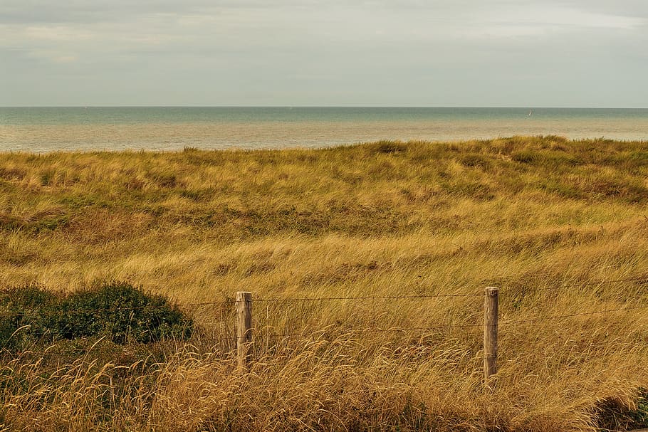 beach, dune, sand, sea, north sea, vacations, nature, summer HD wallpaper