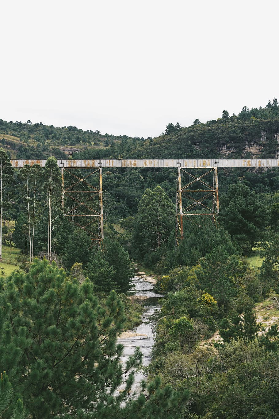gray metal frame, building, bridge, tree, viaduct, nature, sengês HD wallpaper