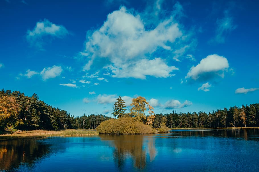 northmberland, lake, trees, cloud, sky, nature, outdoors, water HD wallpaper