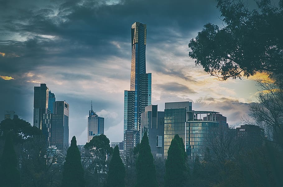 Silhouette of Trees Near Building Under Gray Sky, architecture HD wallpaper