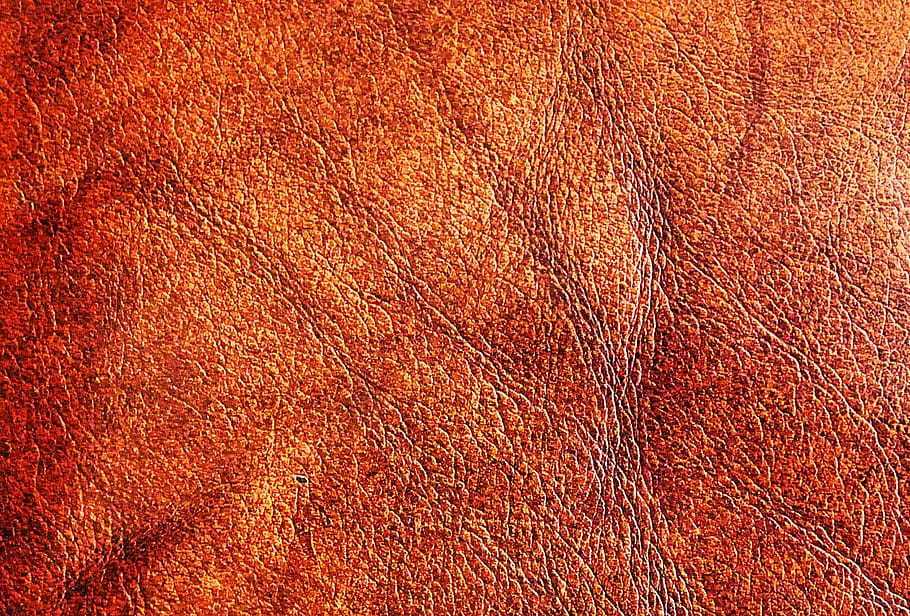 texture, skin, canvas, rug, wood, fur, back, animal, mammal HD wallpaper