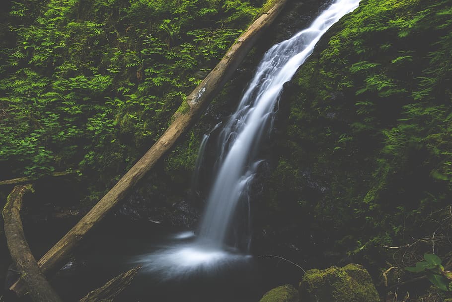 waterfalls raging on mountain, scenics - nature, plant, forest HD wallpaper