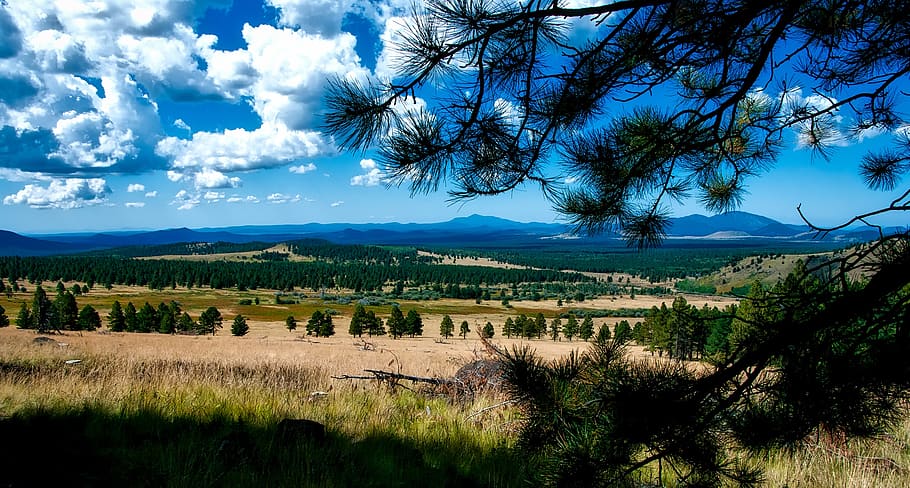 Grass Field, Trees, and Mountain Landscape, beautiful, clouds HD wallpaper