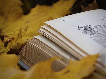 opened white book, text, leaf, plant, fork, cutlery, paper, page HD wallpaper