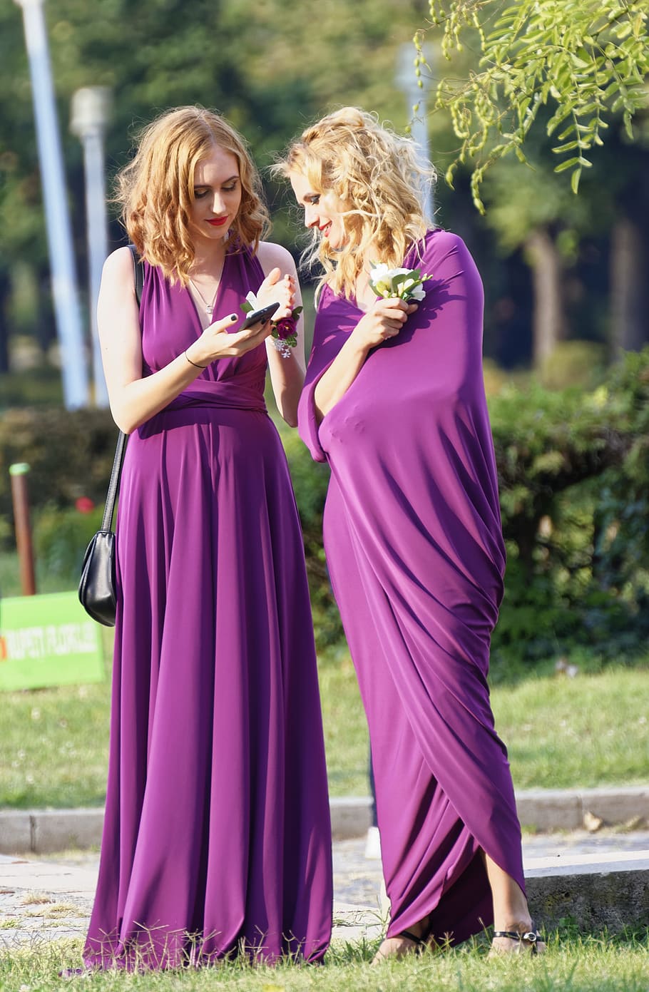 Two Women Wearing Purple Dresses on Grass Field, adult, beautiful