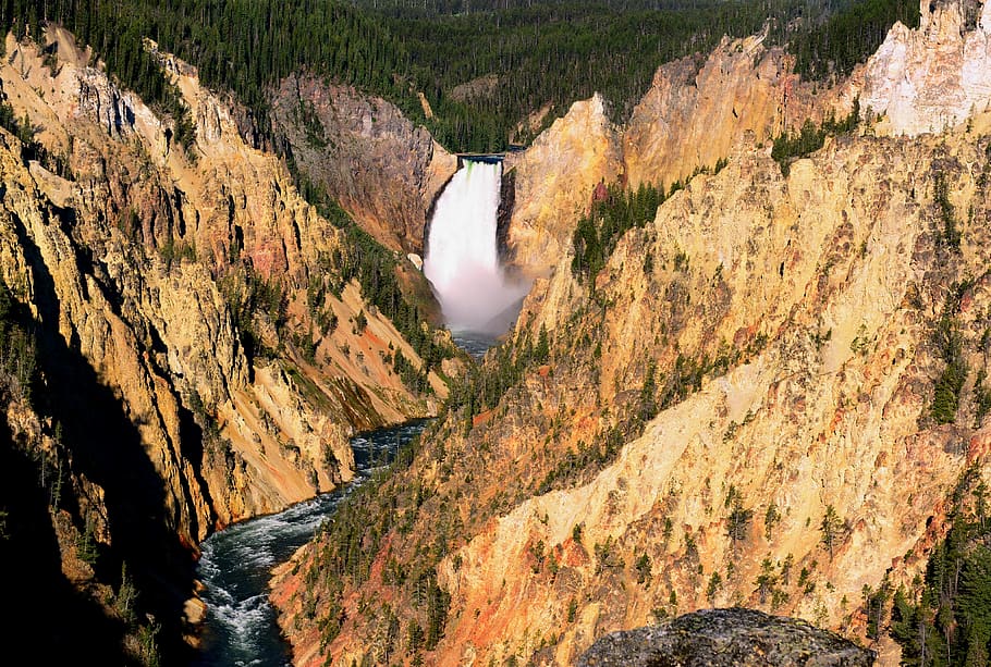 united states, yellowstone national park, trees, landscape, HD wallpaper