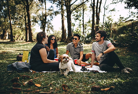 Group of People Sitting on White Mat on Grass Field, chatting HD wallpaper