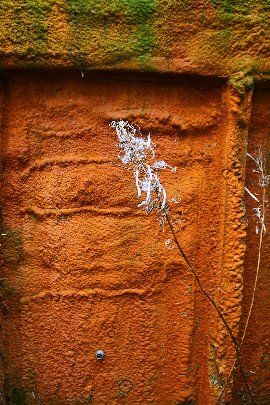 rust, brick, outdoors, wall, nature, slate, animal, electronics HD wallpaper